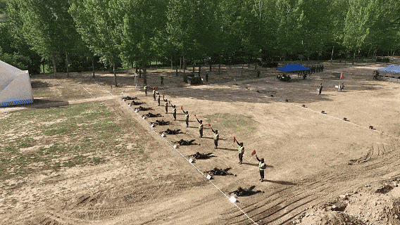 1.gif